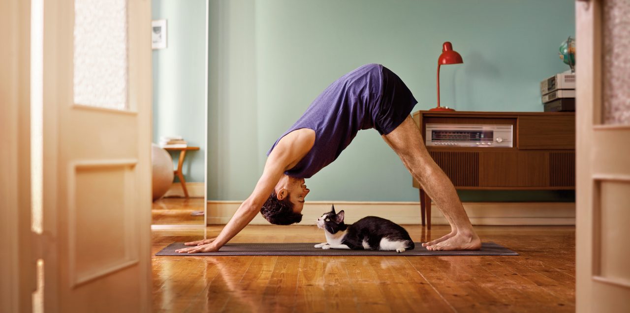 Yoga Stretches for Lower  Back