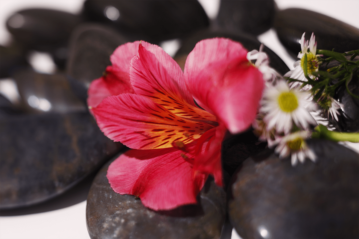 Davis MOB Facility Connections: Make a Mindfulness Kit